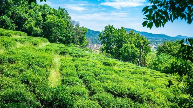 Meilu Legend Hotel Chang-čou Exteriér fotografie